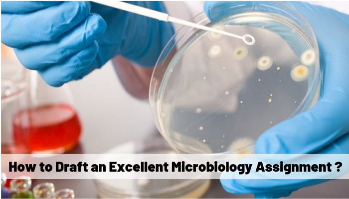Microbiology Assignment